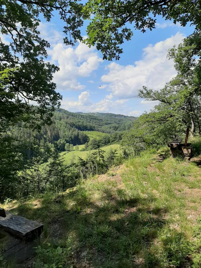 Haus - Pantenburg Manderscheid Esterno foto
